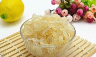 海蜇是什么 海蜇的简介