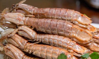 皮皮虾保存的方法 皮皮虾保存方法详解