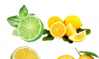 没有冰箱怎么保存柠檬 没有冰箱要怎么保存柠檬