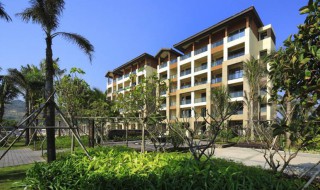 一楼小院如何做下水 一楼小院做下水的介绍