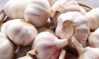 蒜种怎么保存方法 如何保存大蒜