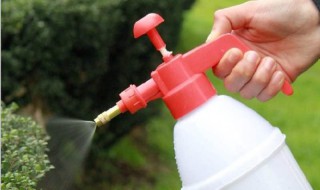 喷壶浇水方法 喷壶浇水方法教程