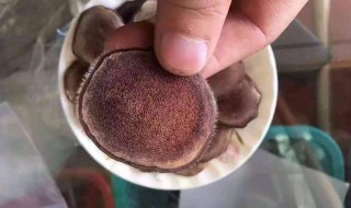 鲜鹿茸怎么吃 鲜鹿茸的吃法