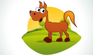 梦见驴是什么意思 梦见驴是啥意思