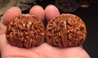 文玩核桃怎么清洗 文玩核桃清洗方法