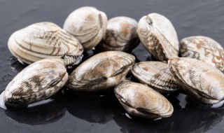 花蛤怎么做 花蛤的做法
