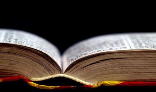 蛇鼠一窝是什么意思 蛇鼠一窝的意思简述