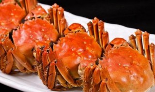 如果被螃蟹夹该怎么办 被螃蟹夹了的解决办法