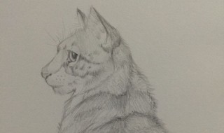 素描本素描方法 如何简单学素描