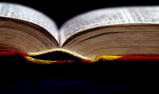 禀赋是什么意思 禀赋的意思简述