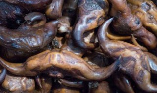 菱角保存方法 菱角保存方法推荐