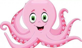 八条腿的动物有哪些 八条腿的动物介绍