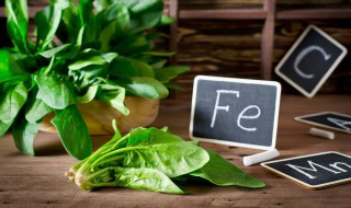 菠菜苗怎么保存 如何长期保存菠菜