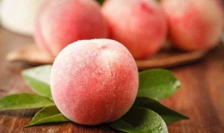 半个水蜜桃怎么保存 水蜜桃的保存方法
