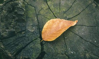 签名短句干净 简单干净的短句