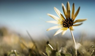 干净的句子简短一句话 有什么干净的句子说说