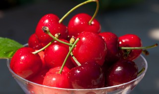 樱桃制作饮料方法 樱桃怎么制作饮料