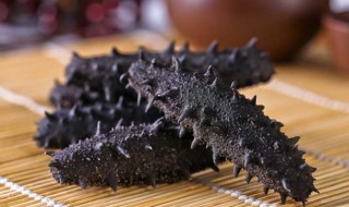 冷冻海参保存方法 海参的存放技巧