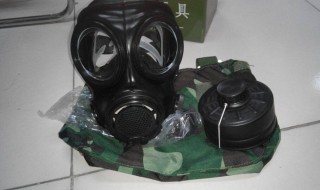 防毒面具根据什么动物的脸做的 防毒面具源自什么动物？