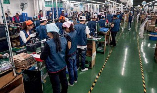 打工人语录 有什么关于打工人语录