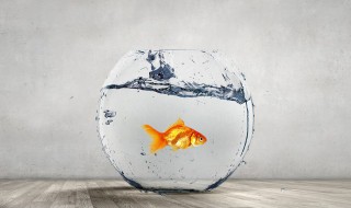 感悟生活正能量的句子 有什么感悟生活正能量的说说