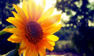 关于减压小技巧 关于减压小技巧有哪些