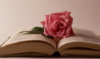 一句简短又暖心的话 简短暖心的几句话