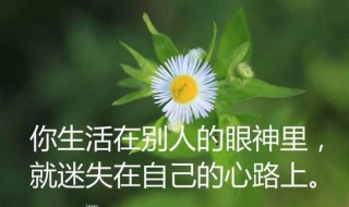 说说感悟人生简短 感悟人生简短说说有哪些