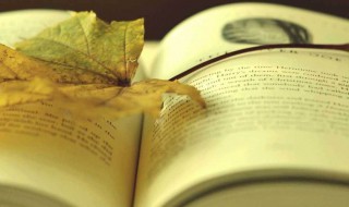 朋友圈最吸引人的句子 朋友圈最吸引人的句子列述