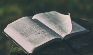 发在朋友圈的经典话语 适合朋友圈的经典语录