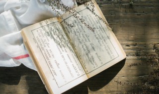 重阳节寄语 重阳节祝福语