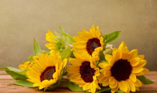 暖心的句子简短 简短暖心的句子有哪些