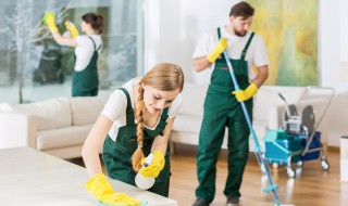 小飞虫怎么消灭 怎么消灭家里的小飞虫