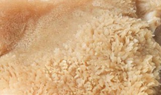 牛肚去外皮方法 牛肚去外皮的步骤