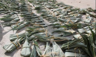 干粽叶保存方法 干粽叶保存方法有什么