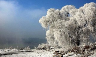 积雪去除方法 积雪去除方法简述