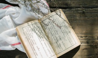 温故而知新的而什么意思 温故而知新的意思