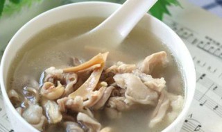 炖墨鱼汤怎样做才好吃 做墨鱼汤的方法