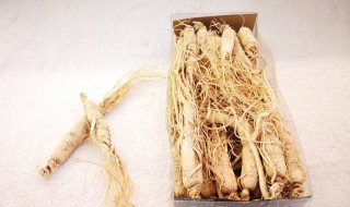 晒干的长白山人参怎么保存 人参能保存多长时间呢