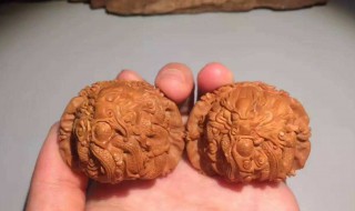 文玩核桃如何正确保存 文玩核桃正确保存的方法