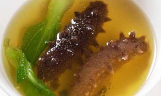 白海参怎样做才能有营养 如何做海参汤