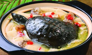 甲鱼做法 甲鱼的做法有哪些