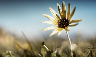 暖心句子文案 有什么暖心句子