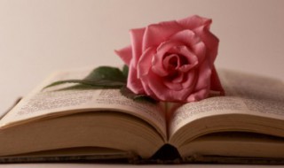 二胎朋友圈简短说说 关于二胎刷爆朋友圈的说说