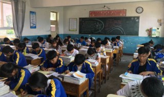 校园运动会作文 有关运动会作文范文