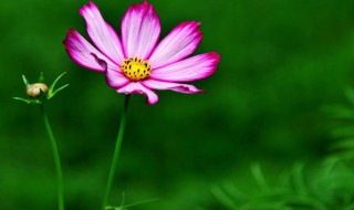 四季轮回的哲理句子 四季轮回的哲理句子推荐