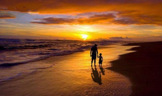 描写父亲外貌的句子 描写父亲外貌的句子推荐