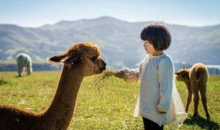 形容孩子萌萌哒的句子 形容孩子萌萌哒的句子有哪些