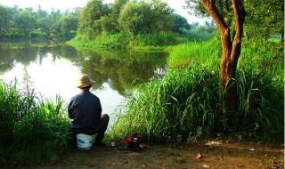 野外钓鱼技巧 有哪些简单技巧