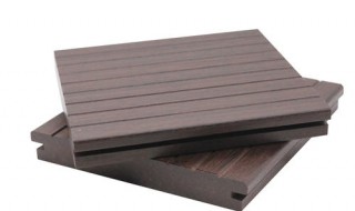 床板白蚁如何处理 可以怎么杀死白蚁